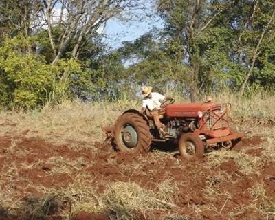 Pequenos agricultores podem pedir reembolso do IVA até final de fevereiro