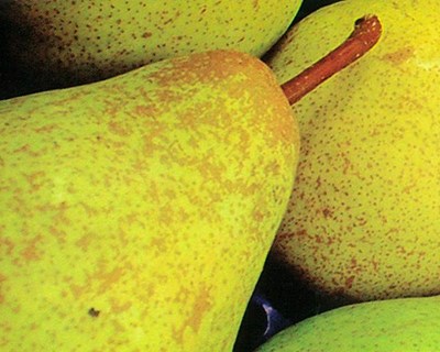 Pera Rocha em destaque na Fruit Attraction