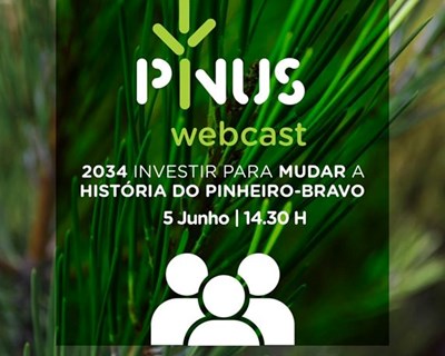 PINUS promove webcast “2034: Investir para Mudar a História do Pinheiro-bravo”