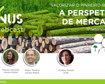 PINUS realiza webcast sobre a perspetiva de mercado perante o pinheiro-bravo