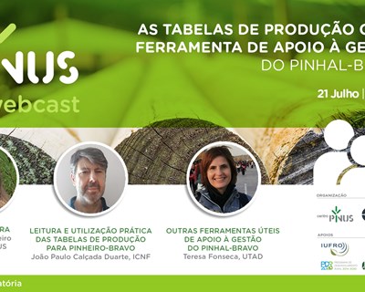 PINUS realiza webcast sobre tabelas de produção para pinheiro-bravo