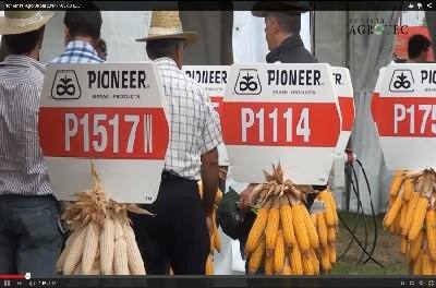 Vídeo: Pioneer na AgroGlobal 2014