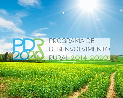 Plano de abertura de candidaturas PDR2020 para 2018