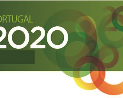 Portugal 2020 já aplicou 220 milhões de euros