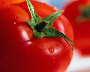 Portugal ambiciona tornar-se no maior fornecedor de produtos de tomate do Japão
