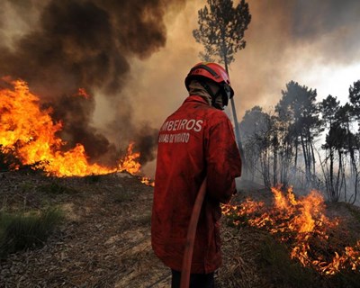 Portugal regista este ano a segunda maior área ardida na União Europeia
