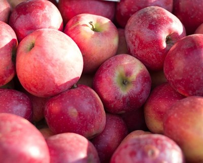 Portugal vai exportar maçã para a Guatemala