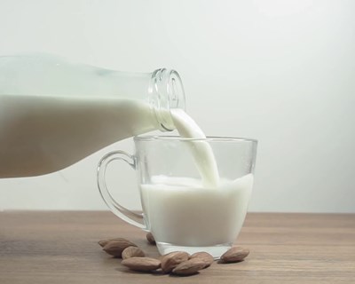 POSEI 2020 cria incentivos ao aumento da produção de leite nas ilhas do Faial, Pico e Flores