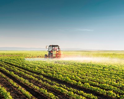 Prémio Newbie 2021: Candidaturas abertas para distinguir projeto agrícola inovador