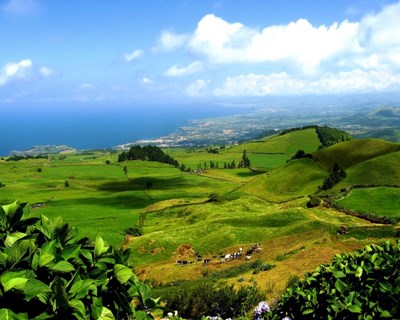 Presidente do Governo dos Açores anuncia três programas agrícolas em 2019
