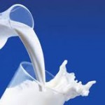 Previsto aumento do preço do leite em Abril na UE