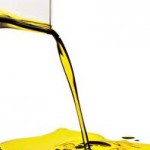 Produção de azeite em Portugal cai 23 por cento em 2012/2013