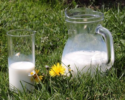 Produção de leite exige medidas urgentes