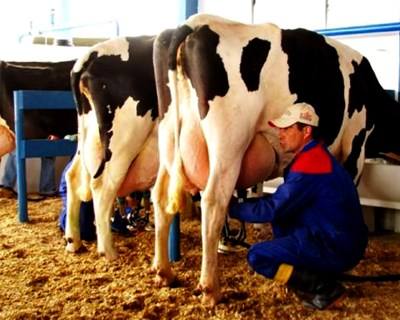 Produção mundial de leite aumenta apesar da queda dos preços