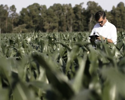 Produtor português em documentário europeu sobre eficiência na produção agrícola