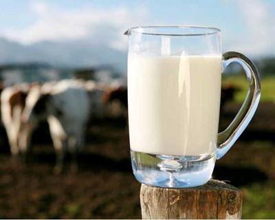 Produtores alertam para lácteos importados abaixo do custo de produção
