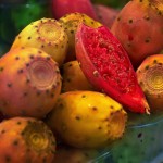 Produtores querem que figueira-da-Índia seja reconhecida como planta frutícola