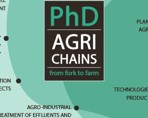 Programa “Agrichains: Cadeias de Produção Agrícola” concede 8 Bolsas de Doutoramento