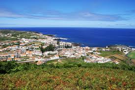 Programa Agricultura + promove emprego nos Açores