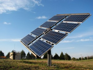 Programa de incentivo financia painéis solares em explorações agrícolas