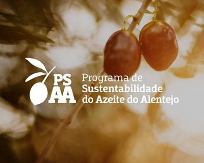 Programa de Sustentabilidade do Azeite do Alentejo perto de concluir referencial de sustentabilidade, pioneiro a nível internacional