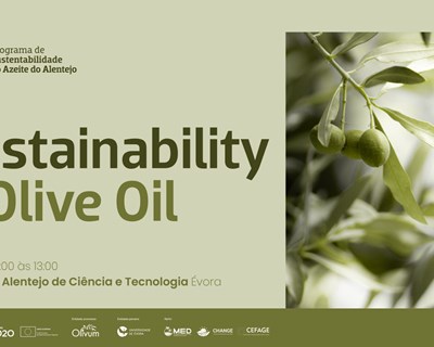 Programa de Sustentabilidade do Azeite do Alentejo promove o evento Sustainability4OliveOil