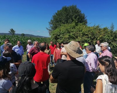 Projeto aQuacer capacita agricultores do Mondego para a gestão eficiente da água nas culturas do arroz e milho