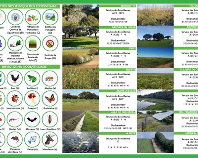 Projeto BPA.Eco divulga resultados