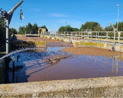 Projeto cria primeira quinta na Europa que utiliza águas residuais para a criação de peixe e vegetais