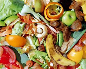 Projeto europeu NOSHAN visa transformar resíduos alimentares em comida para animais