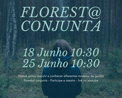 Projeto Florest@ Conjunta promove webinars sobre modelos de gestão florestal