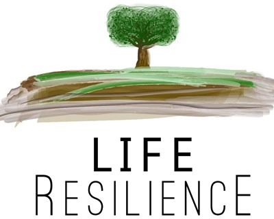 Projeto LIFE Resilience regista balanço positivo na sua primeira conferência online