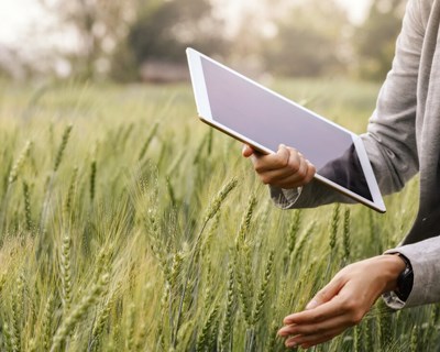 Projeto-piloto da UE projeta estrutura para avaliar o uso de soluções digitais para agricultura sustentável