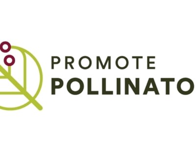Promote Pollinators realiza levantamento de iniciativas relacionadas com polinização em Portugal