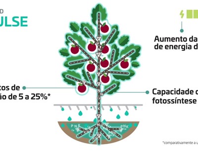 Qual a importância da escolha do fertilizante?