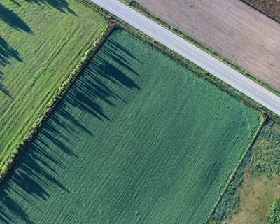 Qual será o impacto económico e ambiental com 25% da área agrícola da UE-27 em Modo de Produção Biológico?