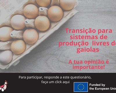 Questionário de caracterização do sector do ovo em curso