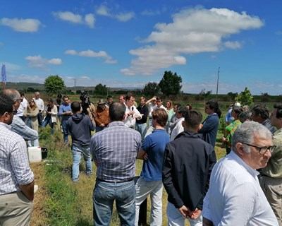 Quinta da Cholda partilha boas práticas de gestão da água na cultura do milho com projeto aQuacer
