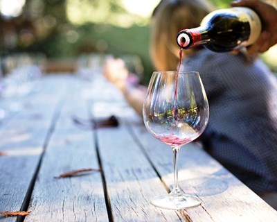 Quinta pedagógica ensina a fazer aguardente artesanal e vinho biológico