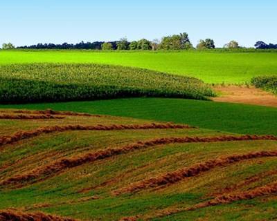 Rede Rural aborda PDR e Leguminosas na Feira de Santarém