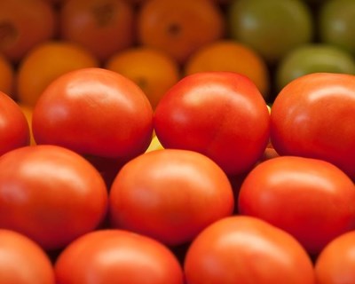 Redução na área de tomate para indústria