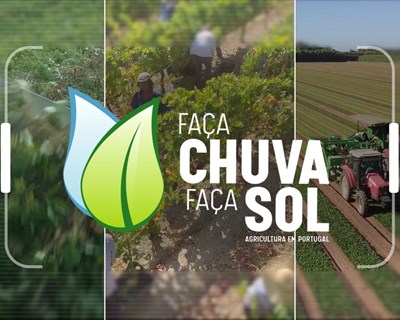 Episódio do "Faça Chuva Faça Sol" destaca os cereais de Inverno