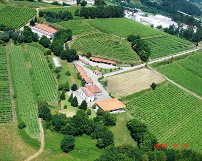 Região dos Vinhos Verdes aumenta em 70% as indemnizações do Seguro de Colheitas