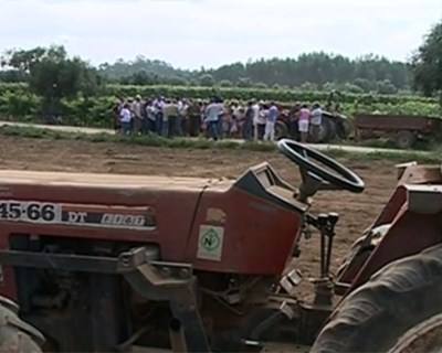 Regime forfetário de IVA: adesão de quase 6000 agricultores