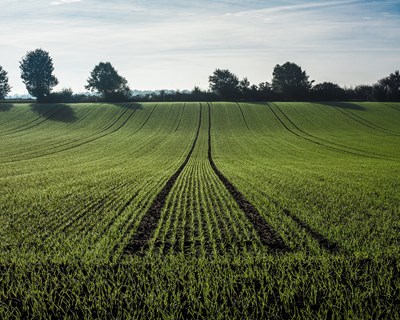 Resultados do projeto Grow Workshops: A agricultura regenerativa em Portugal