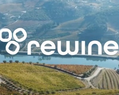 ReWine | Programa educacional divulga vídeo sobre a Otimização dos Recursos no setor vitivinícola