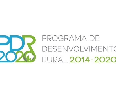 Rita Barradas é a nova Gestora do Programa de Desenvolvimento Rural 2020