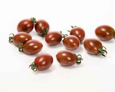 Sakata Seed confirma Resistência Intermediária (IR) ao ToBRFV em variedades de tomate