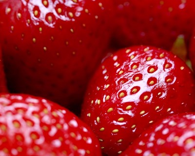 Sakata Seed Corporation entra em grande escala no negócio de sementes de morango F1