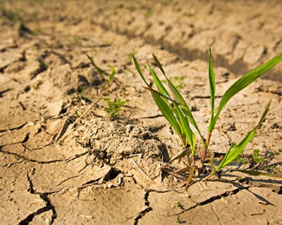 Seca: agricultores afetados podem reportar a situação até 15 de maio
